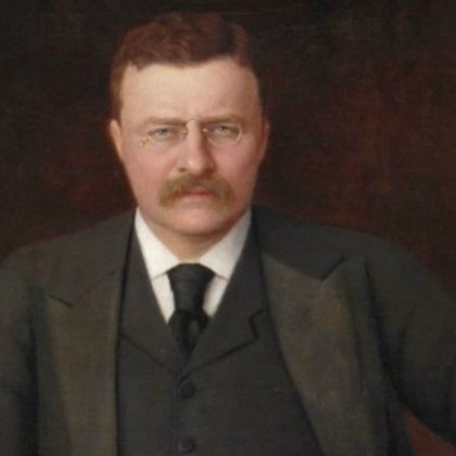 THEODORE ROOSEVELT BECAME THE 26TH US PRESIDENT (1901-1909) AFTER THE ASSASSINATION OF PRESIDENT WILLIAM MCKINLEY.HE WAS ONE MOST DYNAMIC PRESIDENT IN WHITE HOUSE HISTORY.THEODORE ROOSEVELT WAS INTERESTED IN PROTECTING THE ENVIRONMENT BE ALLOCATED 200 MILLION ACRES TO BE PRESERVED AS NATIONAL FORESTS.