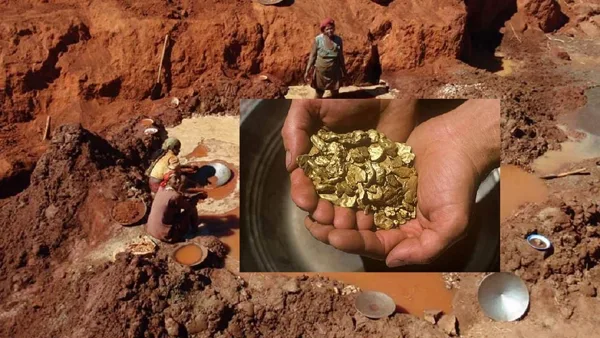 GOLD MINING IS DEVASTATING THE RAINFORESTS,THE SCALE OF THE DEFORESTATION IS REALLY SHOCKI